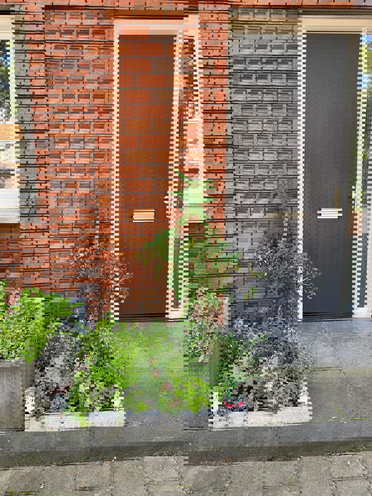 Foto Bij Interview Tuin Hussein